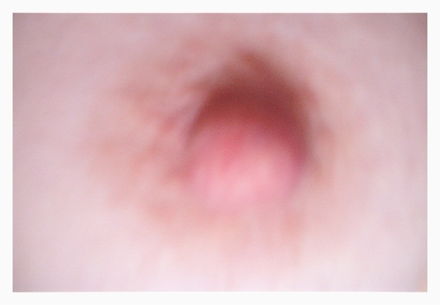 IM003085.jpg